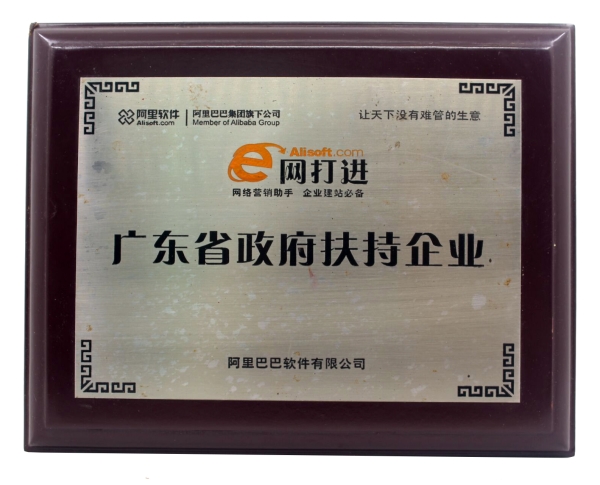 广东省政府扶持企业
